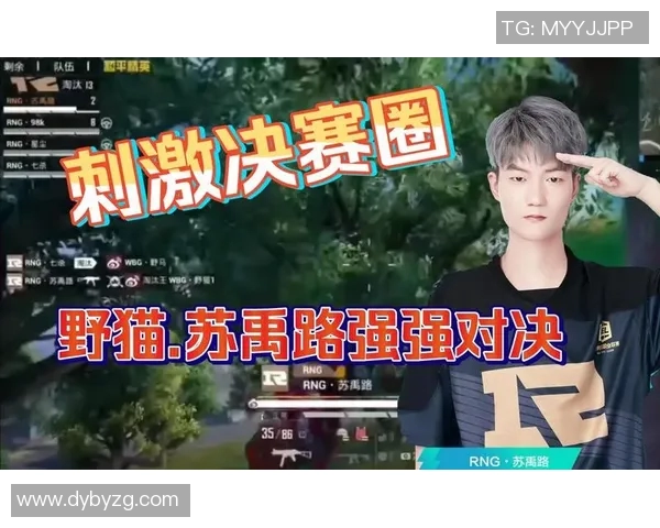 电竞实时数据揭示和平精英比赛经验排行榜RNG荣登第七名的背后故事